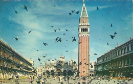 *CPM - ITALIE - VENISE - Place St Marc - Pigeons - Venezia (Venice)