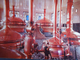 Schiltigheim    Bière Ancre    Brasserie De L'Espérance    Salle De Brassage        CP240261 - Schiltigheim