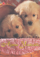 Postal Stationery - Golden Retriever Puppies - Dogs - Red Cross 1999 - Suomi Finland - Postage Paid - Interi Postali