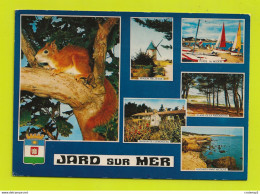 85 JARD SUR MER Vers Talmont St Hilaire N°101 6 Vues De 1980 Bel écureuil Plage Du Moulin De La RAGOUNITTE Voiliers - Talmont Saint Hilaire