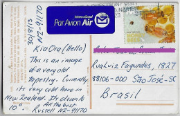 New Zealand 2013 Priority Postcard Sent To São José Brazil Stamp Honeybee Honey Bee Insect - Cartas & Documentos