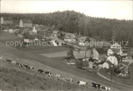 72024257 Baerenstein Annaberg-Buchholz Kuehberg Baerenstein - Bärenstein