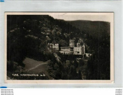 Hartenstein 1942 - Sonstige & Ohne Zuordnung