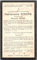 Bidprentje Neder-over-Heembeek - Cnops Petronella (1881-1926) - Images Religieuses