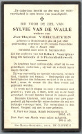 Bidprentje Nederbrakel - Van De Walle Sylvie (1845-1936) - Devotieprenten