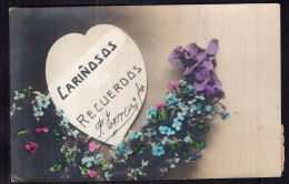 Argentina - Circa 1910 - Colorized - Floral Ornament Postcard - Flowers