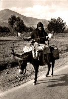 K2705 - ÂNE - Greek Country Woman Griechische Landfrau - Femme De La Campagne Grecque - Asino