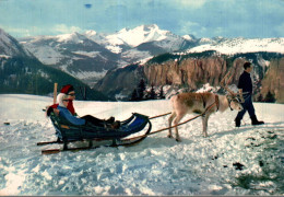 K2705 - Les RENNES à AVORIAZ - Vallée Des Ardoisières - MORZINE - D74 - Autres & Non Classés