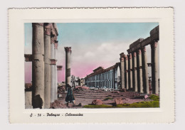 Syria Syrie PALMYRA PALMYRE Great Colonnade Ruins, Vintage 1960s Edition Gulef-Fotocelere Torino Photo Postcard RPPc 721 - Syrien