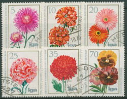 DDR 1975 IGA Pflanzen Blumen Blumenzüchtungen 2070/75 Gestempelt - Used Stamps