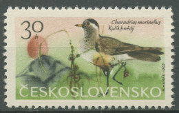 Tschechoslowakei 1965 Gebirgsvögel Regenpfeifer 1568 Postfrisch - Unused Stamps