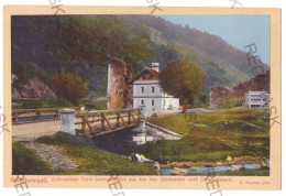 RO 95 - 20687 TURNU ROSU, Sibiu, Border, Bike, Ethnic, Bridge, Romania - Old Postcard - Unused - Roumanie