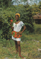 Martinique Costume Créole La Ti-Tane En Jupe - Autres & Non Classés