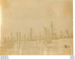 LE BOIS DES 3 ZOUAVES ENVIRONS DE SILLERY PREMIERE GUERRE WW1 PHOTO ORIGINALE FORMAT  5.50 X 4 CM - Guerra, Militari