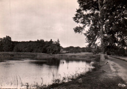 CPSM - LEZOUX - Étang De L'île - Edition Combier - Lezoux