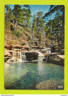 Corse Du Sud EVISA La Piscine Sindaghi VOIR DOS Postée De San Nicolao En 1977 - Sonstige & Ohne Zuordnung