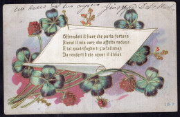 Italy - 1905 - Fiori - Trifogli E Una Poesia - Bloemen