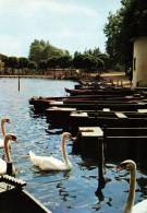 RECTO/VERSO - CPSM - LE QUESNOY - ETANG DU PONT ROUGE - CYGNES VERS LE QUAI AVEC DES BARQUES BATEAUX - Le Quesnoy