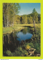 La Pêche à La TRUITE N°19 181 En 1977 Canne Bouchon Panier Truites Rivière VOIR DOS Postée De St Vaury Vers Guéret - Guéret