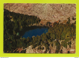 Corse LE LAC DE CRENA Ou Creno ? Au Pied Du Mont Sant'Eliséo VOIR DOS Postée D'Ajaccio En 1973 - Ajaccio