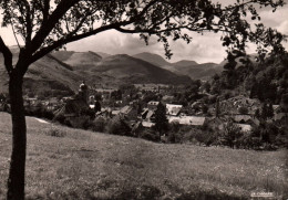 Saint Amarin - Vue Générale Du Village - Saint Amarin