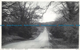 R644095 New Forest. The Bournemouth Road. Photochrom - Monde