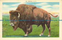 R644096 N. Y. Buffalo. Unico. Postcard - Monde