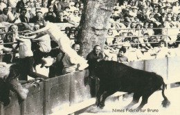 13 NIMES    FIDELIO SUR BRUNO      REIMPRESSION CPA EB 1970 - Nîmes