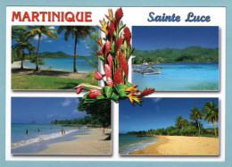 CP Martinique - Sainte-Luce - Multivues - Andere & Zonder Classificatie