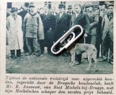 BRUGGE 1938 / BRUGSE HONDENCLUB  / MR. R. ANSEEUW VAN SINT MICHIELS BIJ BRUGGE MET ZIJN MECHELSCHE SCHEPER EERSTE PRIJS - Non Classés