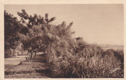 Sénégal -- DAKAR -- Un Coin De La Corniche - Sénégal