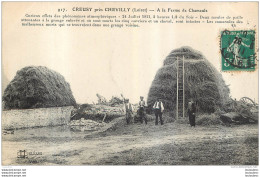 CREUSY PRES CHEVILLY A LA FERME DE CHAMEULE - Autres & Non Classés