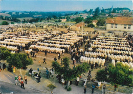 ST CHRISTOPHE EN BRIONNAIS - Le Champ De Foire - Autres & Non Classés