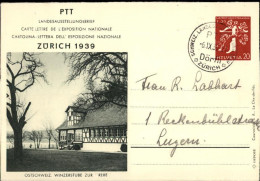 50474921 - Zuerich Zuerichhorn - Altri & Non Classificati