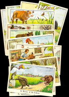 (Lot De Quatorze) Format CPA - LES FABLES De JEAN DE LA FONTAINE Par Illustrateur CALVET-ROGNIAT ** ANIMAUX - Andere & Zonder Classificatie