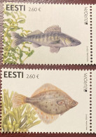 2024 Estonie Estonia Eesti Europa Underwater Fauna Flora Fishes - Estland