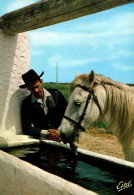 RECTO/VERSO - CPM - CAMARGUE - GARDIAN ET SON CHEVAL A L'ABREUVOIR - Horses