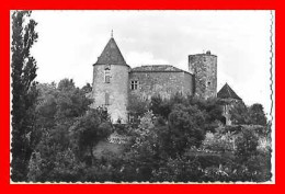 CPSM /pf (33) PELLEGRUE.  Château Le Puy De Gensac. *9061 - Autres & Non Classés