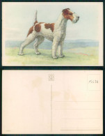 [ OT 015634 ] - ANIMALS - DOG CHIEN PERRO HUND ILLUSTRATOR FOX TERRIER - Chiens