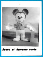 PHOTO Photographie Amateur - MICKEY "...une Des Photos Que J'ai Fait Toute Seule Pour La Nouvelle Année" - Célébrités