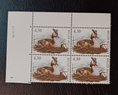 BUZIN COB 3538 / BLOC DE 4  COIN DATÉ 21.IV.06  _ GRÈBE HUPPÉ - 1985-.. Birds (Buzin)