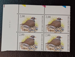 BUZIN COB 3139 / BLOC DE 4 COIN   DATÉ 15.II.06  _ GRAND GRAVELOT - 1985-.. Oiseaux (Buzin)