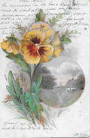 Belle Carte Postale Anciennée 1904  - FLEURS -BOUQUET DE PENSEES Et Paysage De Campagne. - Bloemen