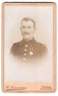 Fotografie H. Zwirnemann, Potsdam, Schock-Str. 27, Portrait Soldat In Uniform Rgt. 29 Mit Centinar Medaille  - Anonymous Persons