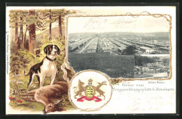 Passepartout-Lithographie Münsingen, Hotel Fezer, Gesamtansicht Vom Truppenübungsplatz, Wappen, Jagd  - Other & Unclassified