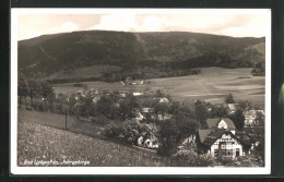 AK Bad Liebwerda / Lazne Libverda, Teilansicht, Isergebirge  - Tschechische Republik