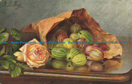 R645741 Still Life. Rose And Gooseberries. Serie 205. M. Billing - Monde