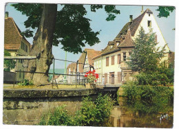 Wissembourg - 1963 - Maison De L'Ami Fritz - N°138  # 2-24/11 - Wissembourg