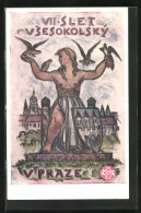 Künstler-AK Praha, VII. Slet Vsesokolsky 1920, Frau Mit Nackter Brust Und Vögel  - Autres & Non Classés