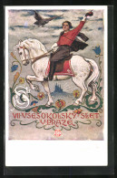 Künstler-AK Praha, VII. Vsesokolsky Slet 1920, Mann Auf Weissem Pferd  - Autres & Non Classés
